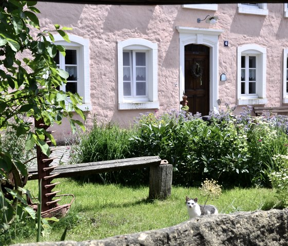Ferme rose avec des fenêtres blanches, entourée d'un jardin fleuri. Un chat est assis sur la pelouse au premier plan., © TI Bitburg Ferme rose avec des fenêtres blanches, entourée d'un jardin fleuri. Un chat est assis sur la pelouse au premier plan., © TI Bitburg
