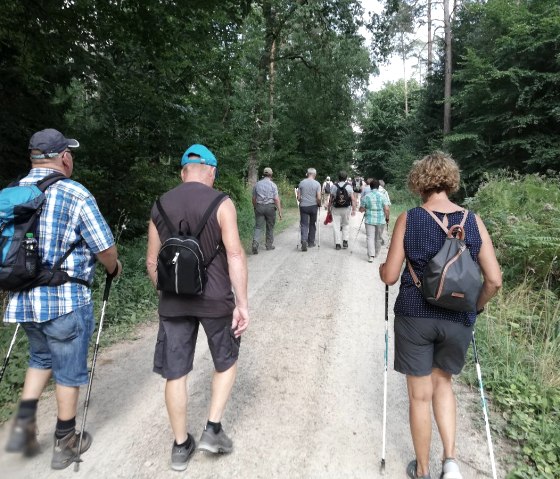 bos_5, © Deutsch Luxemburgische Tourist Info bos_5, © Deutsch Luxemburgische Tourist Info