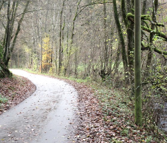 Un chemin étroit et sinueux dans la vallée du Radenbach, entouré d'arbres aux feuilles d'automne et d'un petit ruisseau sur la droite., © Felsenland Südeifel Tourismus GmbH, Natalie Mainz Un chemin étroit et sinueux dans la vallée du Radenbach, entouré d'arbres aux feuilles d'automne et d'un petit ruisseau sur la droite., © Felsenland Südeifel Tourismus GmbH, Natalie Mainz