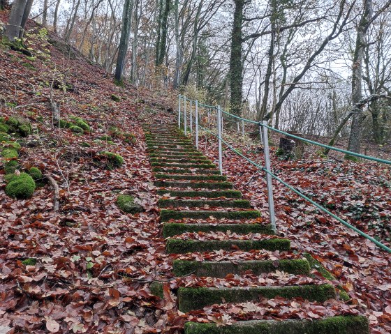 Ralingen 69, © Nicole Zimmer Ralingen 69, © Nicole Zimmer