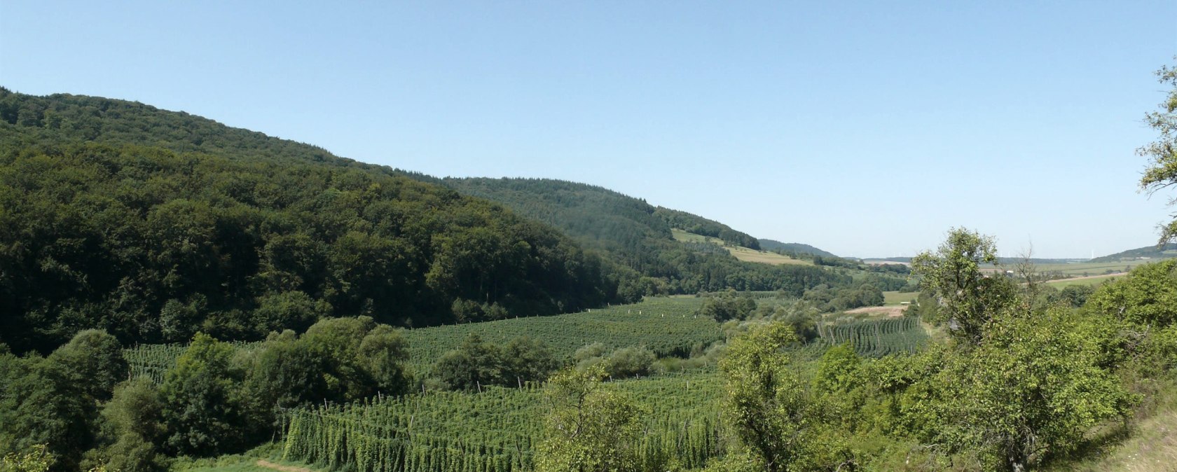 Blick über die Hopfenfelder im Prümtal, © Felsenland Südeifel Tourismus GmbH Blick über die Hopfenfelder im Prümtal, © Felsenland Südeifel Tourismus GmbH