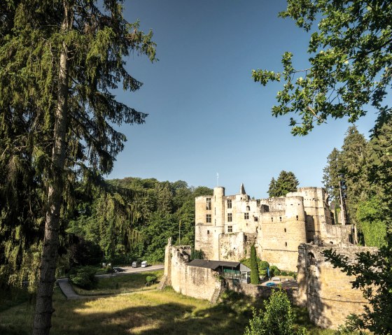 Ruine Schloss Beaufort, © Eifel Tourismus GmbH, D.Ketz Ruine Schloss Beaufort, © Eifel Tourismus GmbH, D.Ketz