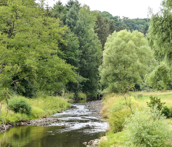 Een kleine rivier kronkelt door een groen landschap van bomen en weiden. De lucht is bewolkt en het water weerspiegelt het omringende groen., © TI Bitburger Land Een kleine rivier kronkelt door een groen landschap van bomen en weiden. De lucht is bewolkt en het water weerspiegelt het omringende groen., © TI Bitburger Land