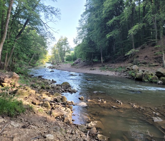 Blick flussabwärts - Irreler Wasserfälle, © Felsenland Südeifel Tourismus GmbH / Elke Wagner Blick flussabwärts - Irreler Wasserfälle, © Felsenland Südeifel Tourismus GmbH / Elke Wagner