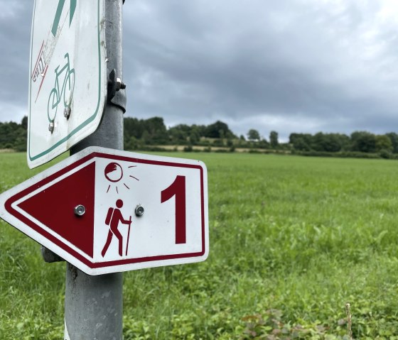 Een wandelwegwijzer met het cijfer 1 wijst in één richting op een landweggetje. Op de achtergrond zijn een groene weide en een bewolkte hemel te zien., © Daniel Köhler Een wandelwegwijzer met het cijfer 1 wijst in één richting op een landweggetje. Op de achtergrond zijn een groene weide en een bewolkte hemel te zien., © Daniel Köhler