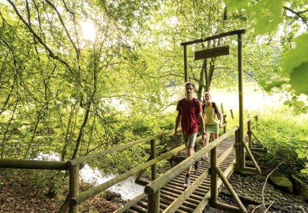 Sentier du ruisseau dans le NaturWanderPark delux, Ernst-Brücke sur l'Alfbach, © Eifel Tourismus GmbH, D. Ketz Sentier du ruisseau dans le NaturWanderPark delux, Ernst-Brücke sur l'Alfbach, © Eifel Tourismus GmbH, D. Ketz