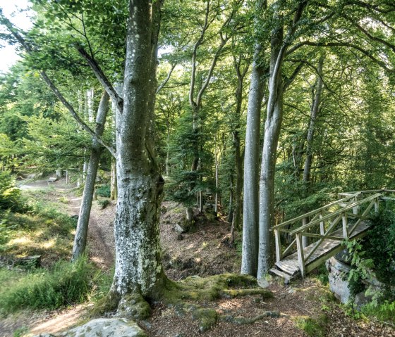 Idyllisch wandelpad bij de Schankweiler Klause aan de Klausnerweg, © Eifel Tourismus GmbH, D. Ketz Idyllisch wandelpad bij de Schankweiler Klause aan de Klausnerweg, © Eifel Tourismus GmbH, D. Ketz