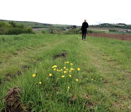 Schilzenburg 12, © Nicole Zimmer Schilzenburg 12, © Nicole Zimmer