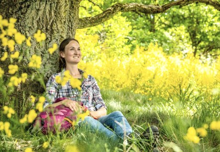 Rast an der Eifelgold-Route, © Eifel Tourismus GmbH, Dominik Ketz Rast an der Eifelgold-Route, © Eifel Tourismus GmbH, Dominik Ketz