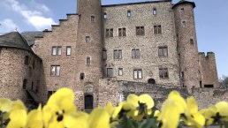 Schloss Hamm, © Tourist-Information Bitburger Land Schloss Hamm, © Tourist-Information Bitburger Land