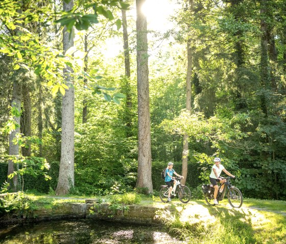 Deux cyclistes roulent sur un chemin à travers une forêt inondée de soleil. L'environnement est vert et paisible., © Eifel Tourismus GmbH, Dominik Ketz Deux cyclistes roulent sur un chemin à travers une forêt inondée de soleil. L'environnement est vert et paisible., © Eifel Tourismus GmbH, Dominik Ketz