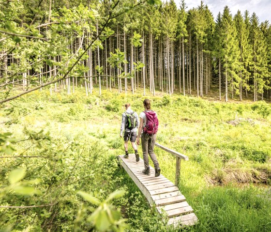 Zwei Wanderer mit Rucksäcken gehen über einen Holzsteg in einem grünen Waldgebiet. Im Hintergrund sind hohe Bäume zu sehen., © Eifel Tourismus GmbH, D. Ketz Zwei Wanderer mit Rucksäcken gehen über einen Holzsteg in einem grünen Waldgebiet. Im Hintergrund sind hohe Bäume zu sehen., © Eifel Tourismus GmbH, D. Ketz