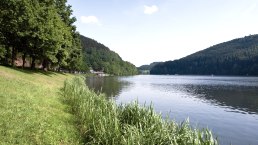 Stausee Ufer, © Tourist-Information Bitburger Land Stausee Ufer, © Tourist-Information Bitburger Land