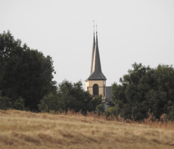 Een kerktoren rijst op achter bomen, omringd door een weiland. De lucht is grijs en onbewolkt., © Thomas Neises Een kerktoren rijst op achter bomen, omringd door een weiland. De lucht is grijs en onbewolkt., © Thomas Neises
