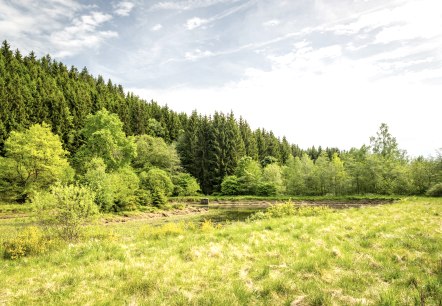 Am Bachpfad, © Eifel Tourismus GmbH/Dominik Ketz Am Bachpfad, © Eifel Tourismus GmbH/Dominik Ketz