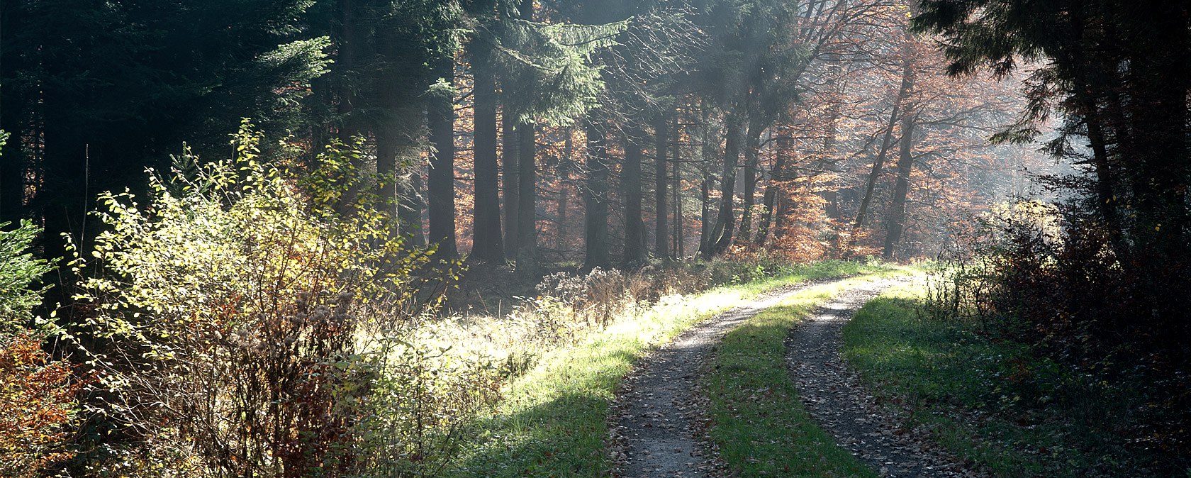 Chemin forestier près du château de Prüm, © V. Teuschler Chemin forestier près du château de Prüm, © V. Teuschler