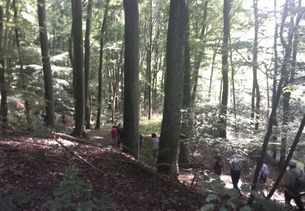 sentier-hérisson-4, © Deutsch Luxemburgische Tourist Information sentier-hérisson-4, © Deutsch Luxemburgische Tourist Information