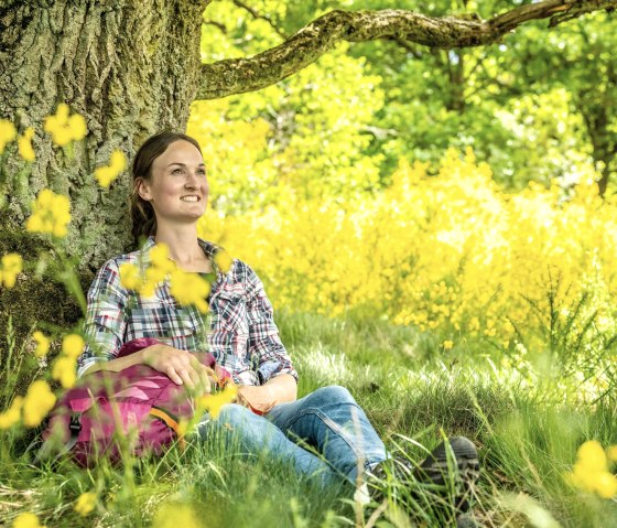 Rast an der Eifelgold-Route, © Eifel Tourismus GmbH, Dominik Ketz Rast an der Eifelgold-Route, © Eifel Tourismus GmbH, Dominik Ketz