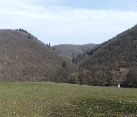 Bewaldete Hänge an der Prüm, © Tourist-Information Islek Bewaldete Hänge an der Prüm, © Tourist-Information Islek