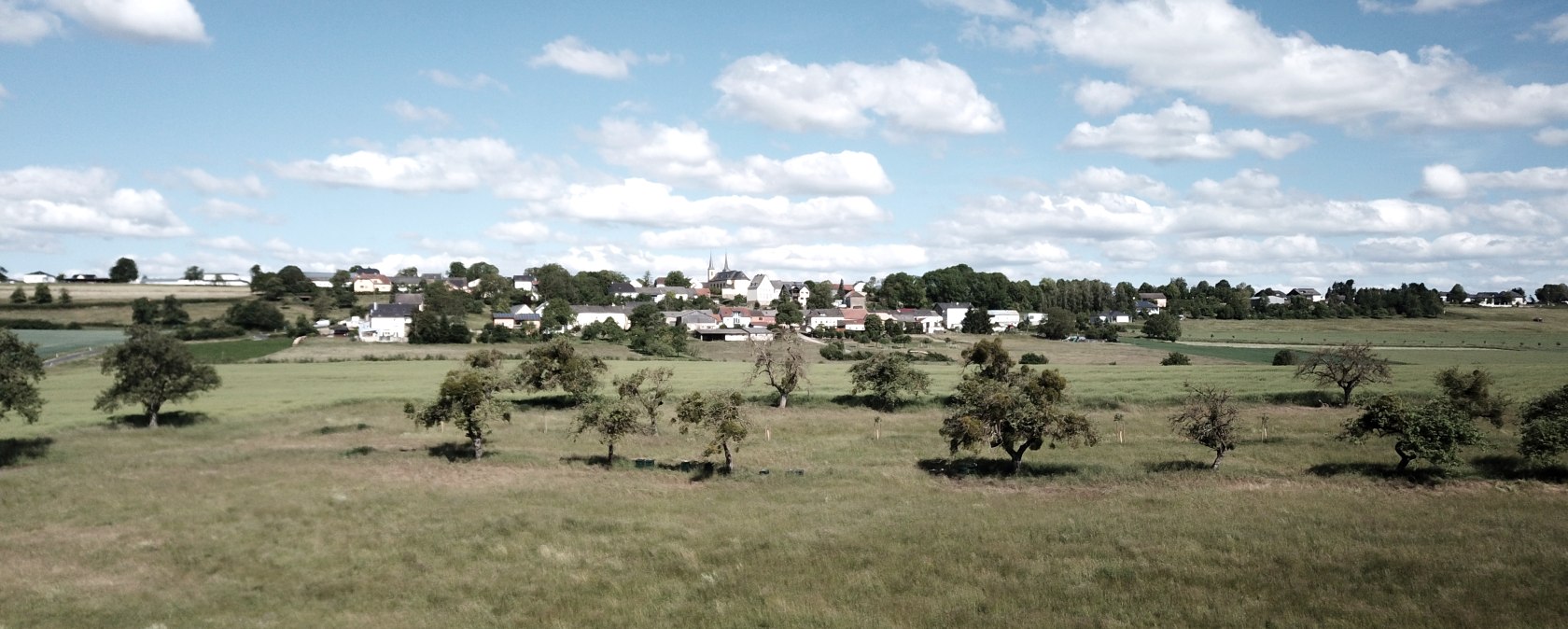 Grüne Wiesen mit vereinzelten Bäumen, im Hintergrund das Dorf Idenheim unter blauem Himmel mit weißen Wolken., © Ingrid Penning Grüne Wiesen mit vereinzelten Bäumen, im Hintergrund das Dorf Idenheim unter blauem Himmel mit weißen Wolken., © Ingrid Penning