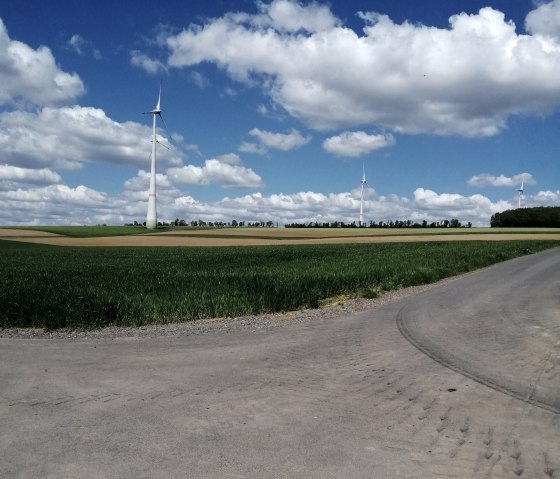 Vue étendue sur les champs entre les villages, © Felsenland Südeifel Tourismus, Antje Ackermann Vue étendue sur les champs entre les villages, © Felsenland Südeifel Tourismus, Antje Ackermann