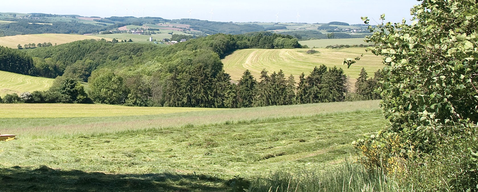 Hauteurs de l'Eifel, © V. Teuschler Hauteurs de l'Eifel, © V. Teuschler