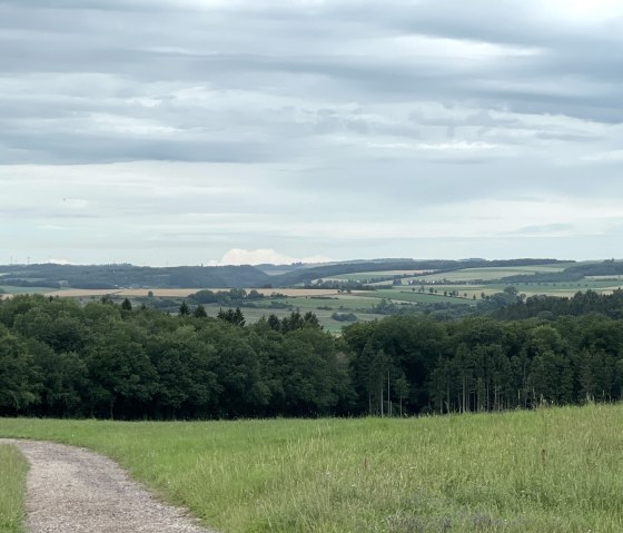 Groen landschap met weiden, bossen en velden onder een bewolkte hemel. Een pad loopt door de weide., © Daniel Köhler Groen landschap met weiden, bossen en velden onder een bewolkte hemel. Een pad loopt door de weide., © Daniel Köhler