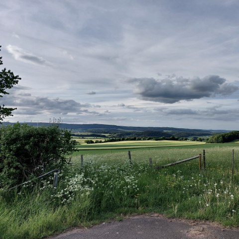 Blick östliche Kalkmulde Büdesheim, © Tourist-Information Prümer Land Elke Dahm Blick östliche Kalkmulde Büdesheim, © Tourist-Information Prümer Land Elke Dahm