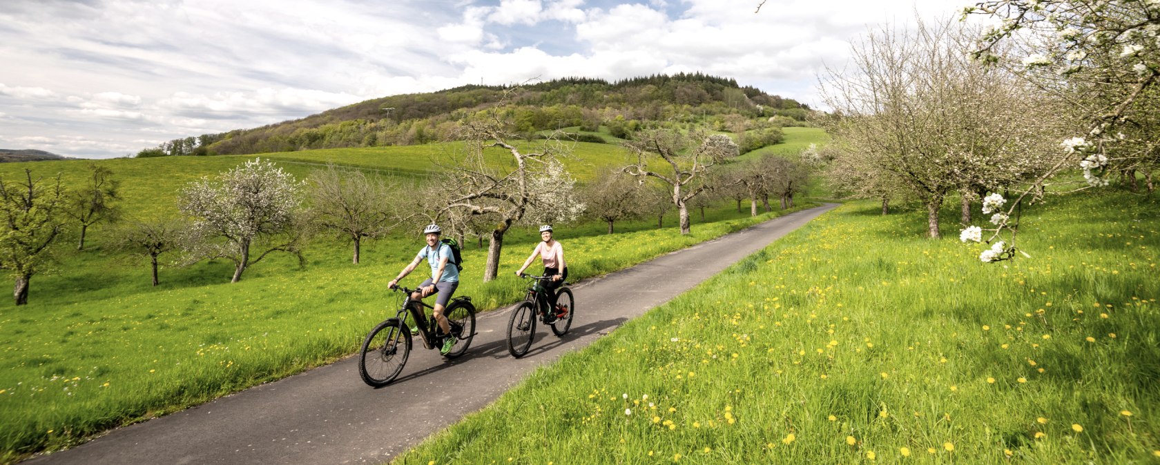 Im Frühjahr führt die Radreise durch blühende Streuobstwiesen im Naturpark Südeifel, © Eifel Tourismus GmbH, Dominik Ketz Im Frühjahr führt die Radreise durch blühende Streuobstwiesen im Naturpark Südeifel, © Eifel Tourismus GmbH, Dominik Ketz