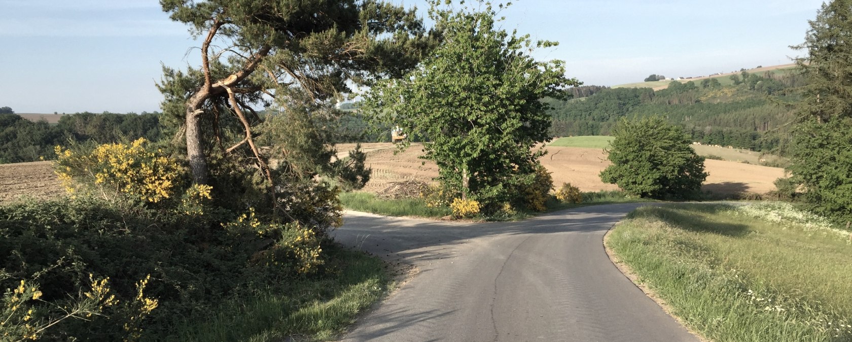 img_1071, © Manuel Norta, Ammeldingen img_1071, © Manuel Norta, Ammeldingen