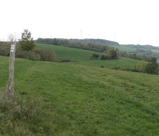 Groene heuvels met windturbines aan de horizon, een houten paal met een bord op de voorgrond. Weids landschap onder een bewolkte hemel., © Felsenland Südeifel Tourismus, Christian Calonec-Rauchfuss Groene heuvels met windturbines aan de horizon, een houten paal met een bord op de voorgrond. Weids landschap onder een bewolkte hemel., © Felsenland Südeifel Tourismus, Christian Calonec-Rauchfuss