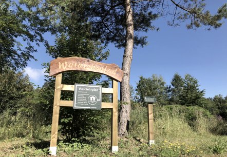 Panneau en bois avec l'inscription 'Waldlehrpfad' et panneau d'information, entouré d'arbres et de prairie sous un ciel bleu., © TI Bitburger Land Panneau en bois avec l'inscription 'Waldlehrpfad' et panneau d'information, entouré d'arbres et de prairie sous un ciel bleu., © TI Bitburger Land