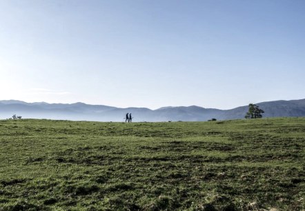 Grenzenloses Wandern, &copy; Hotel-Rest. Zum goldenen Grund