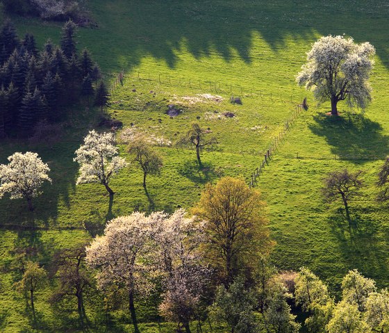 Vue sur la vall&eacute;e de la Pr&uuml;m : les arbres en fleurs projettent de longues ombres sur des prairies vertes entour&eacute;es de for&ecirc;ts. Le paysage semble idyllique et paisible., &copy; Charly Schleder