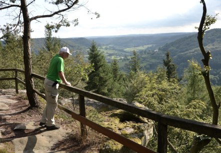 Een man in groene kleding staat bij een reling en kijkt uit over een bebost landschap met heuvels en dalen., &copy; Lauschtour.de