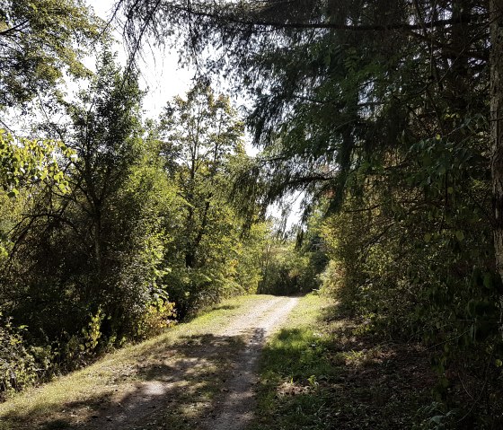 Wanderweg Nr. 15 am Stausee Arzfeld, &copy; Tourist-Information Islek