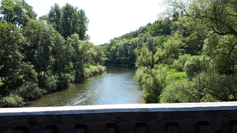 Ein ruhiger Fluss fließt durch eine grüne Landschaft mit vielen Bäumen. Die Atmosphäre ist friedlich und einladend.