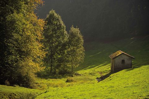Kleine Hütte auf einer grünen Wiese im Kammerwald, umgeben von Bäumen im Sonnenlicht.