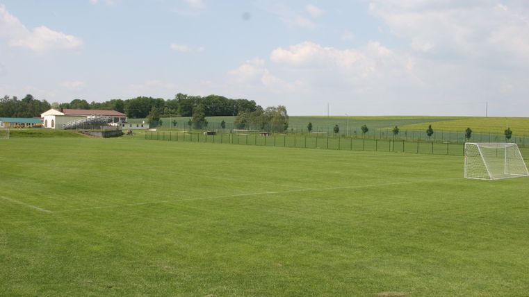 A vast, green soccer field with an empty goal. In the background, trees and a building can be seen.