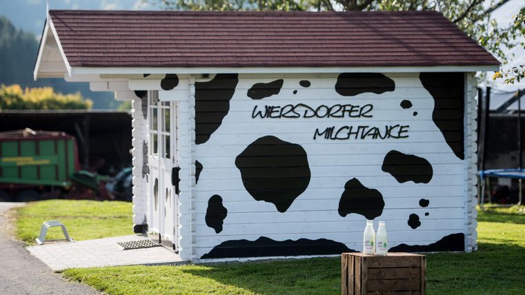 Une petite maison avec un motif de taches de vache noir et blanc à l'extérieur. Elle est située sur une prairie et a un toit brun.