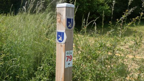 Ein Wegweiser aus Holz mit zwei Wappen und der Nummer 79. Umgeben von hohem Gras und Buschwerk in der Natur.