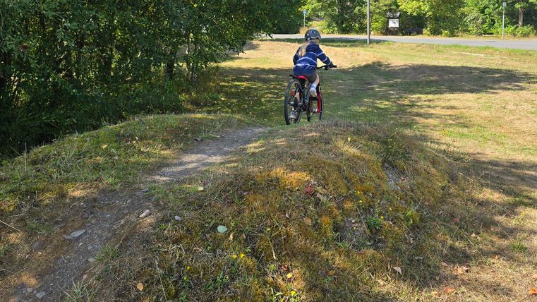 A child is riding a bicycle up a small hill. The surroundings are green, with trees and an open meadow.