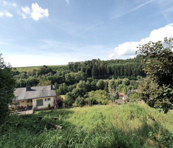 Gr&uuml;ne Landschaft mit einem Haus im Vordergrund, umgeben von B&auml;umen und H&uuml;geln unter einem blauen Himmel mit wenigen Wolken., &copy; Tourist-Information Bitburger Land