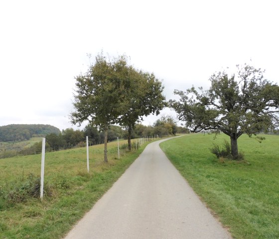 Egel 5, &copy; Nicole Zimmer