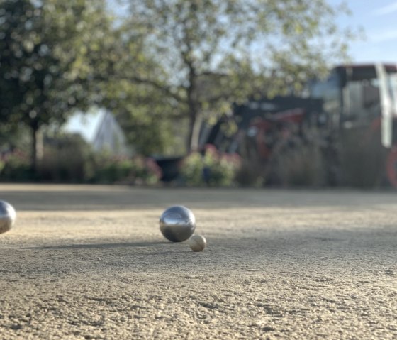 Boule, &copy; Schiltzhof