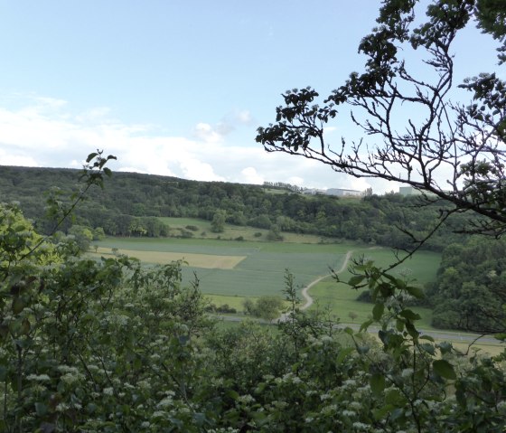 Vue depuis une colline bois&eacute;e sur des champs et des for&ecirc;ts verdoyants sous un ciel bleu. Un chemin &eacute;troit serpente &agrave; travers le paysage., &copy; Elke Wagner, Felsenland S&uuml;deifel Tourismus GmbH