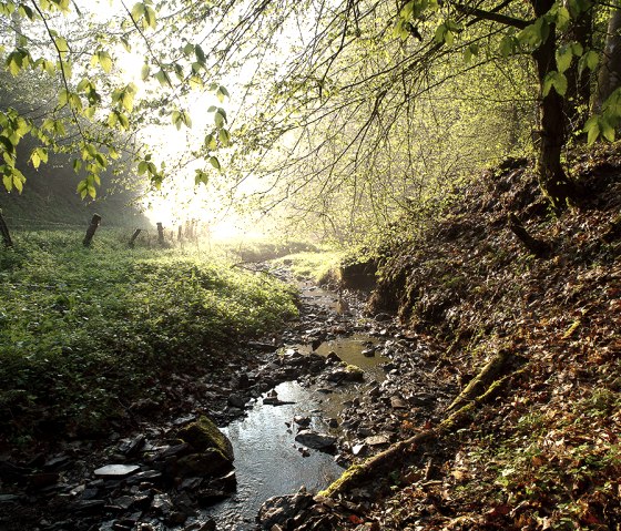 Piste de rempart Weidingen, petit ruisseau, &copy; Naturpark S&uuml;deifel, Volker Teuschler