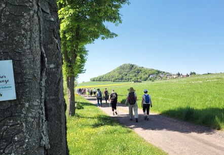 20250501_125057, &copy; Tourist-Info Wittlich Stadt&Land