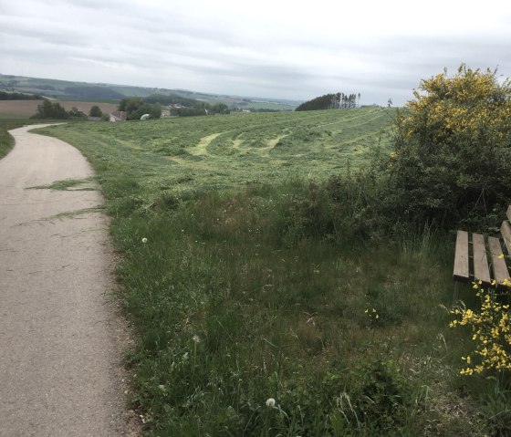 img_8143, &copy; Manuel Norta, Ammeldingen