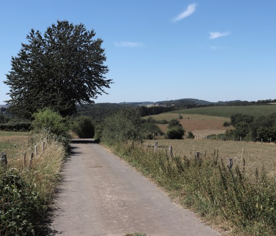 Wanderweg Nr. 14 ins Tal bei Jucken, &copy; Tourist-Info Islek